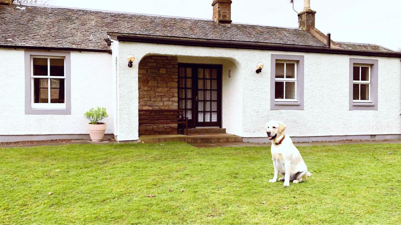 Bed and Breakfast Kilconquhar Castle Estate Екстер'єр фото
